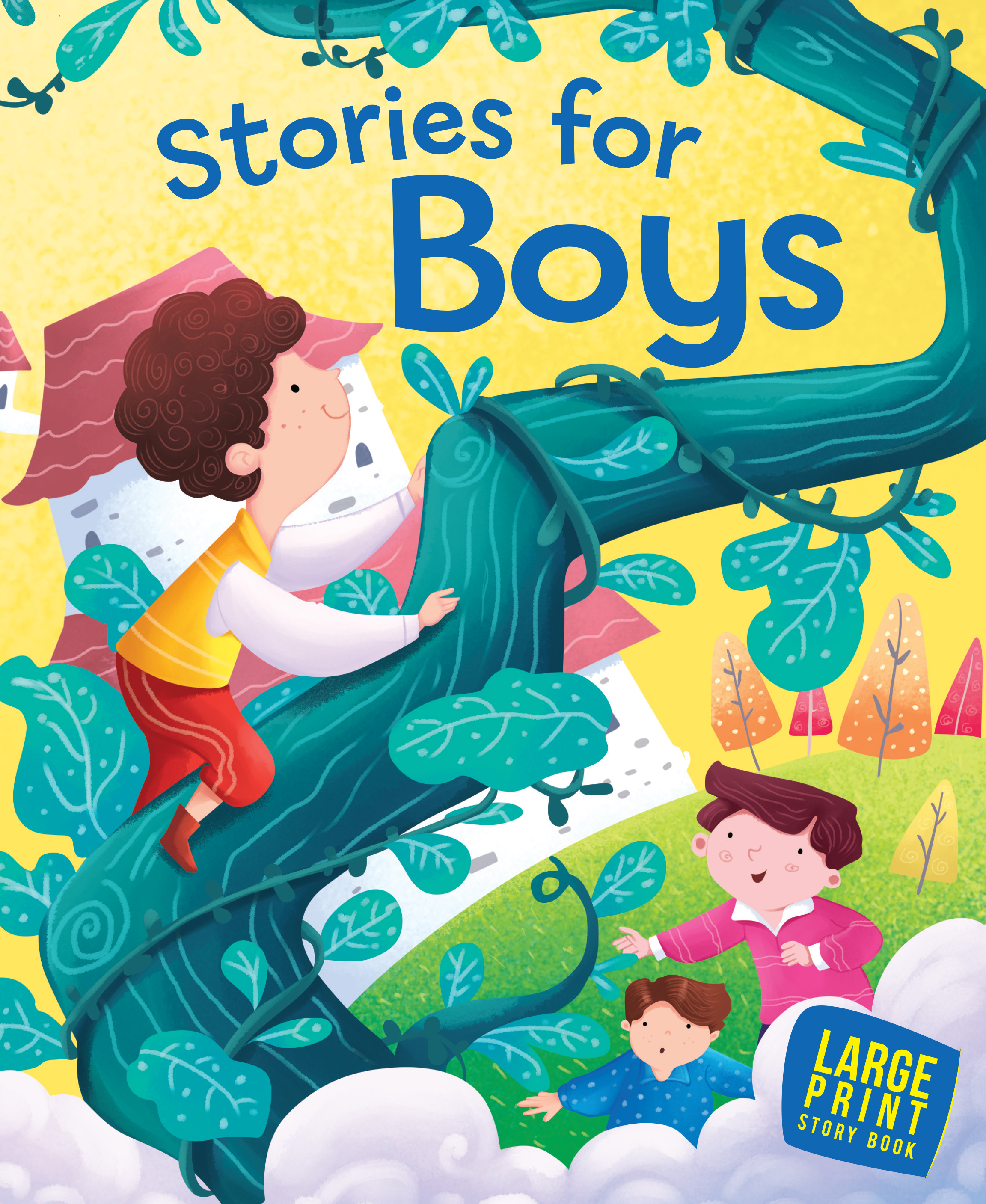 Stories for Boys : Large Print