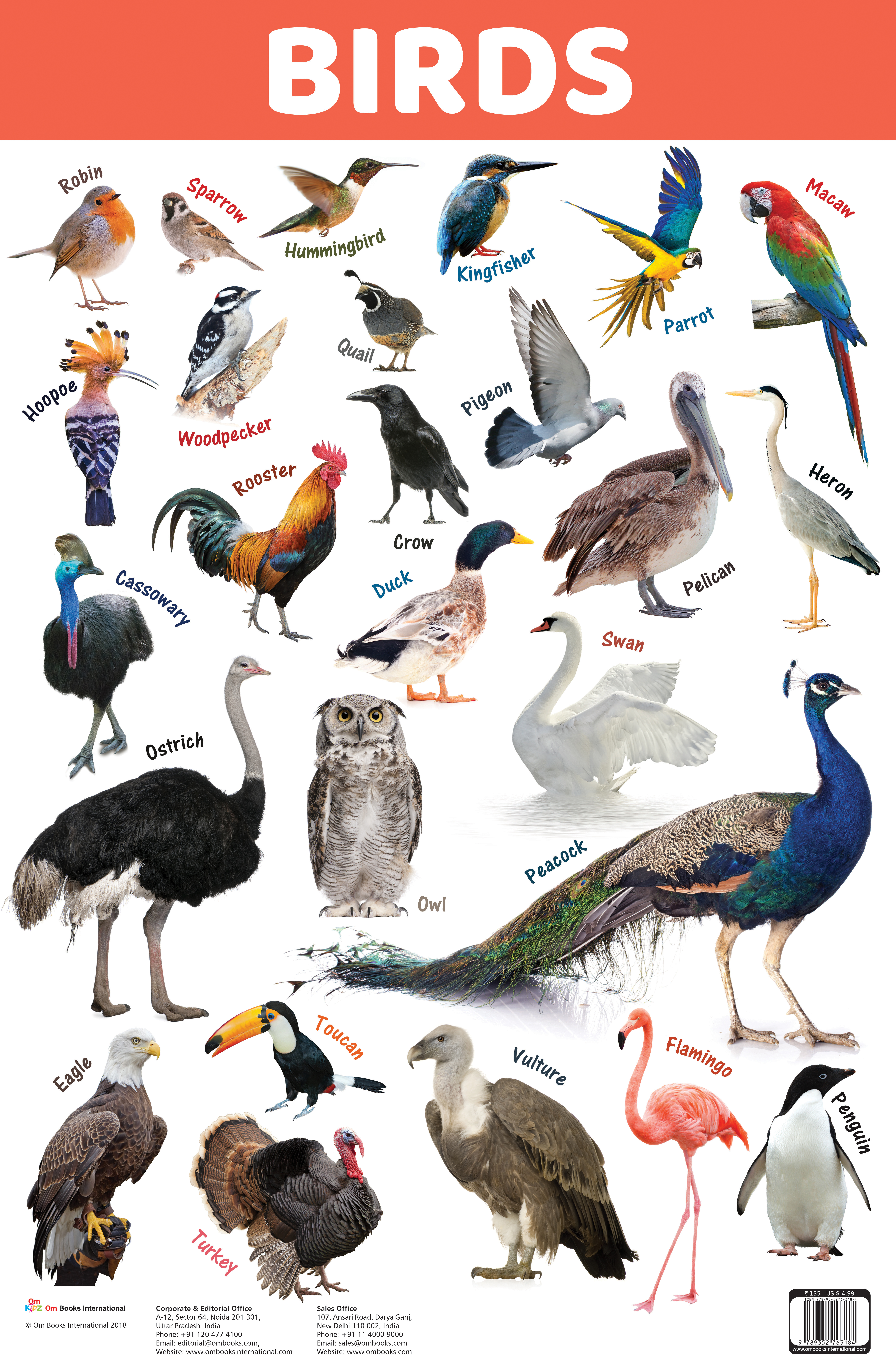 Birds : Charts